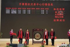 德州市洛泰商贸有限公司是国企吗