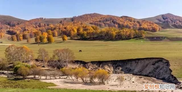 邓伦的老家在河北哪里