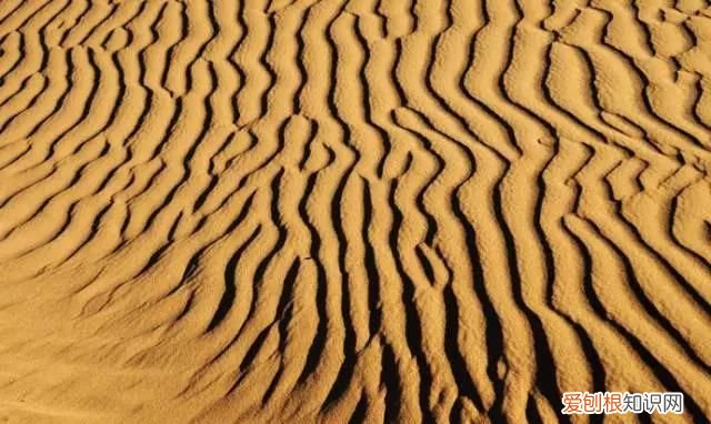 邓伦的老家在河北哪里