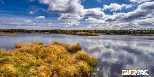 邓伦的老家在河北哪里