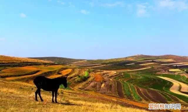 邓伦的老家在河北哪里