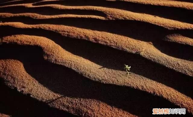 邓伦的老家在河北哪里