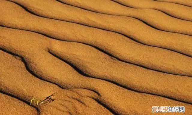 邓伦的老家在河北哪里