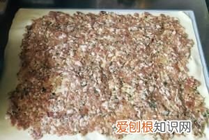 豆腐皮肉卷的做法,干豆腐皮肉卷的各种做法