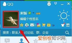 qq怎么把性别改成神，QQ性别怎么改成秘密