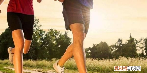 牙膏成分怎么辨别牙膏好坏 牙膏底部色条代表不同功效