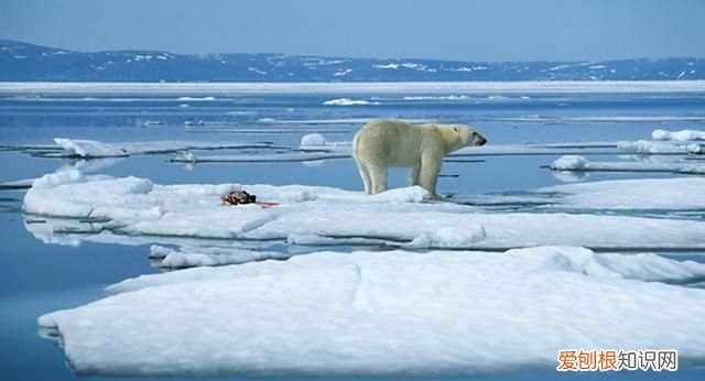 空气污染的原因,危害及应对措施,你知道多少个