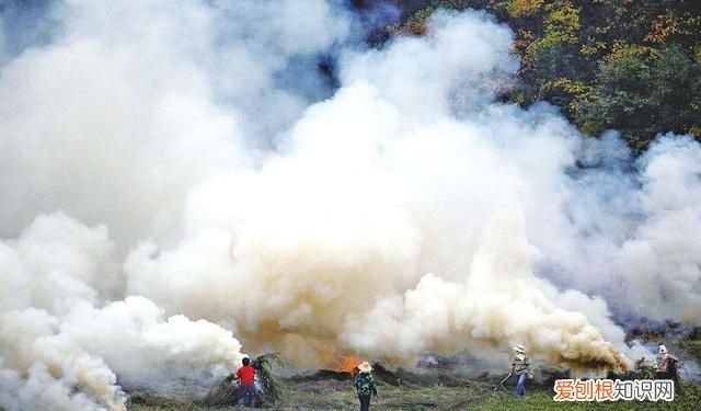 空气污染的原因,危害及应对措施,你知道多少个