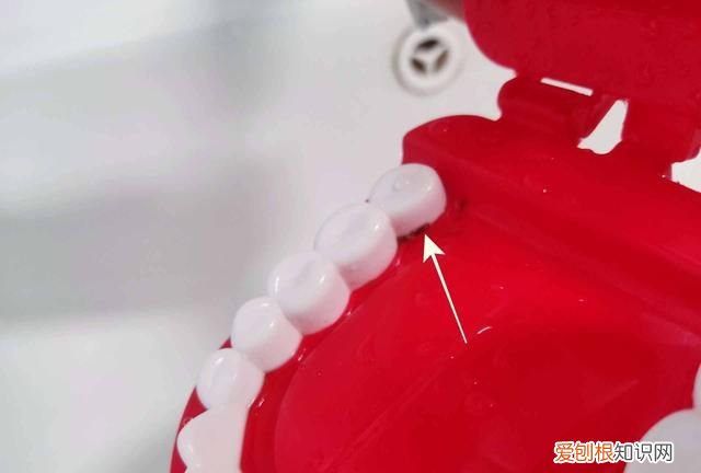 同同家声波电动牙刷t11使用测评