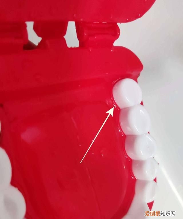 同同家声波电动牙刷t11使用测评