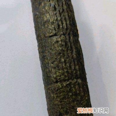 家常寿司的做法