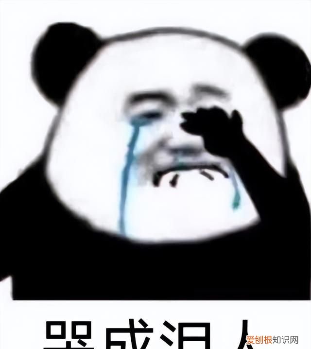 回头看你觉得哪款iphone最经典呢