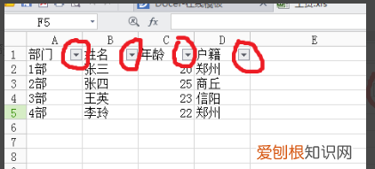 Excel表格该咋的才可以做高级筛选