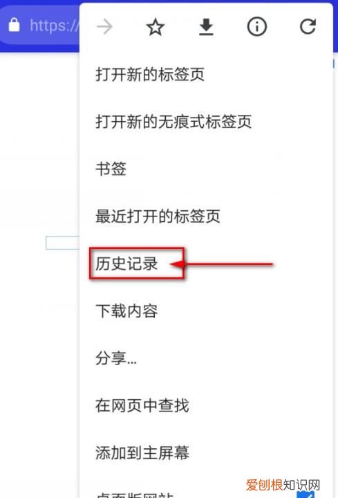 手机浏览记录要怎么样查，如何查看手机使用记录及时间