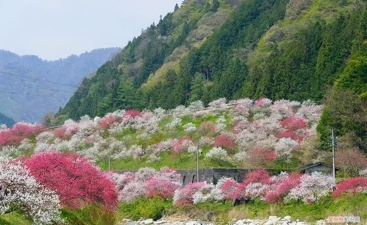 这个季节旅游去哪里好玩