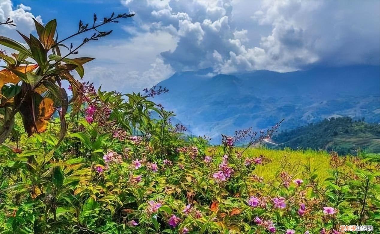 这个季节旅游去哪里好玩
