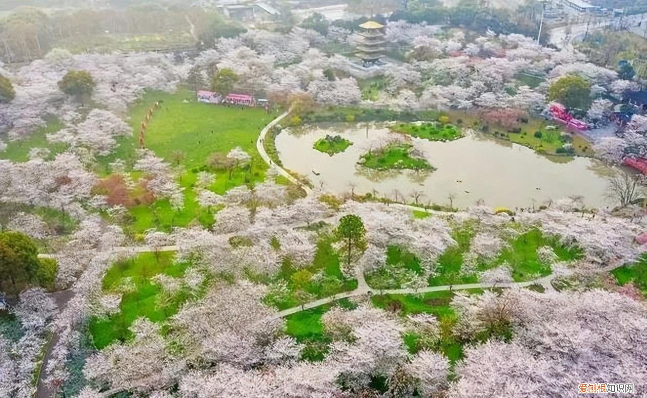 这个季节旅游去哪里好玩