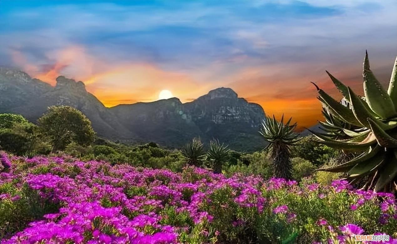 这个季节旅游去哪里好玩