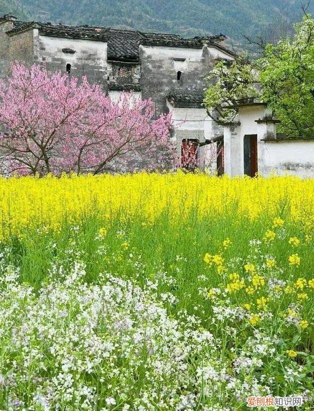 这个季节旅游去哪里好玩