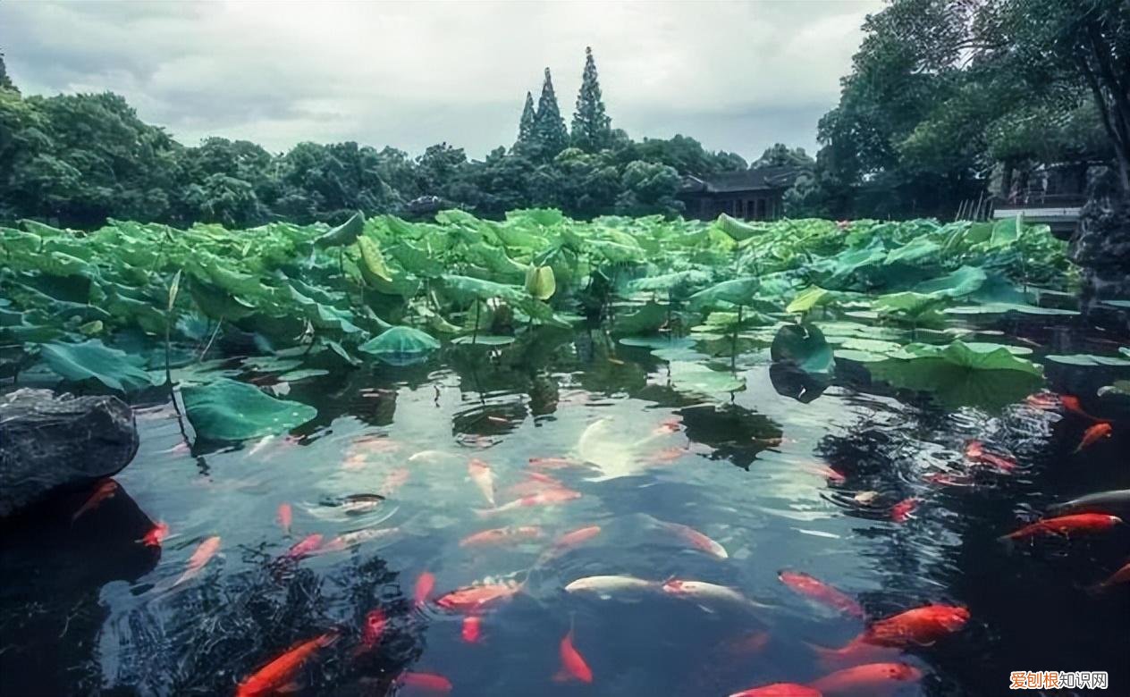 这个季节旅游去哪里好玩