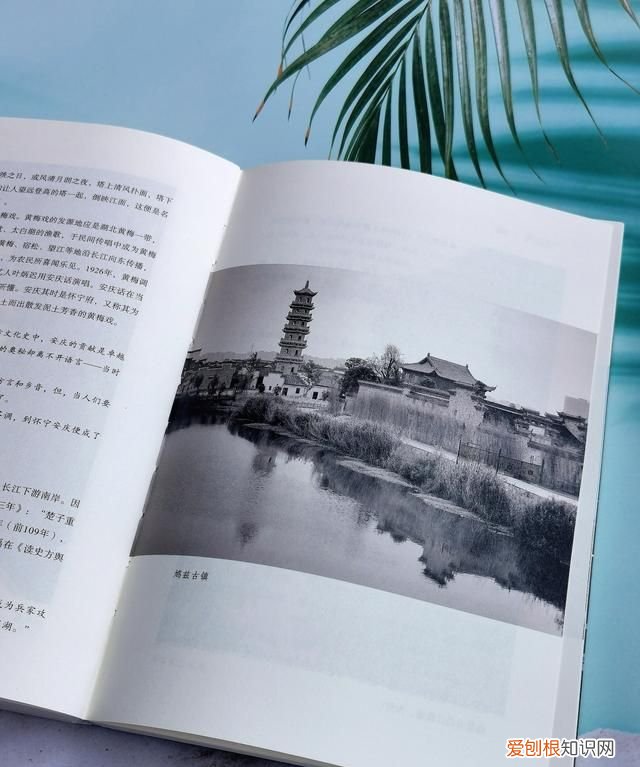 长江的前世今生解说,长江的前世今生有哪些