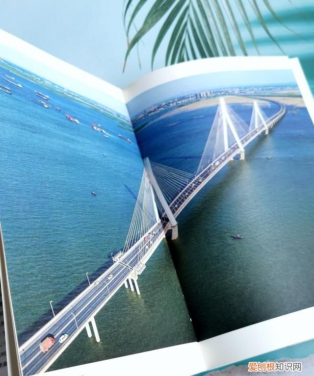 长江的前世今生解说,长江的前世今生有哪些