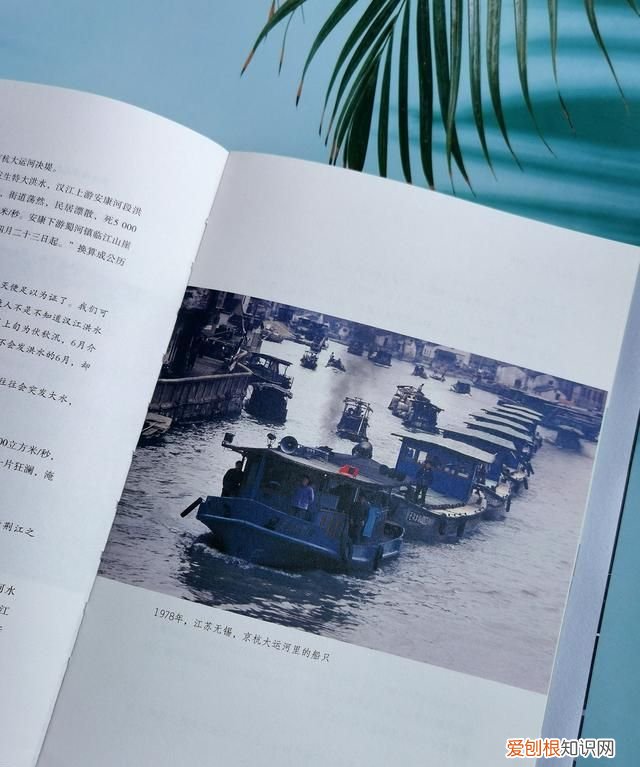 长江的前世今生解说,长江的前世今生有哪些