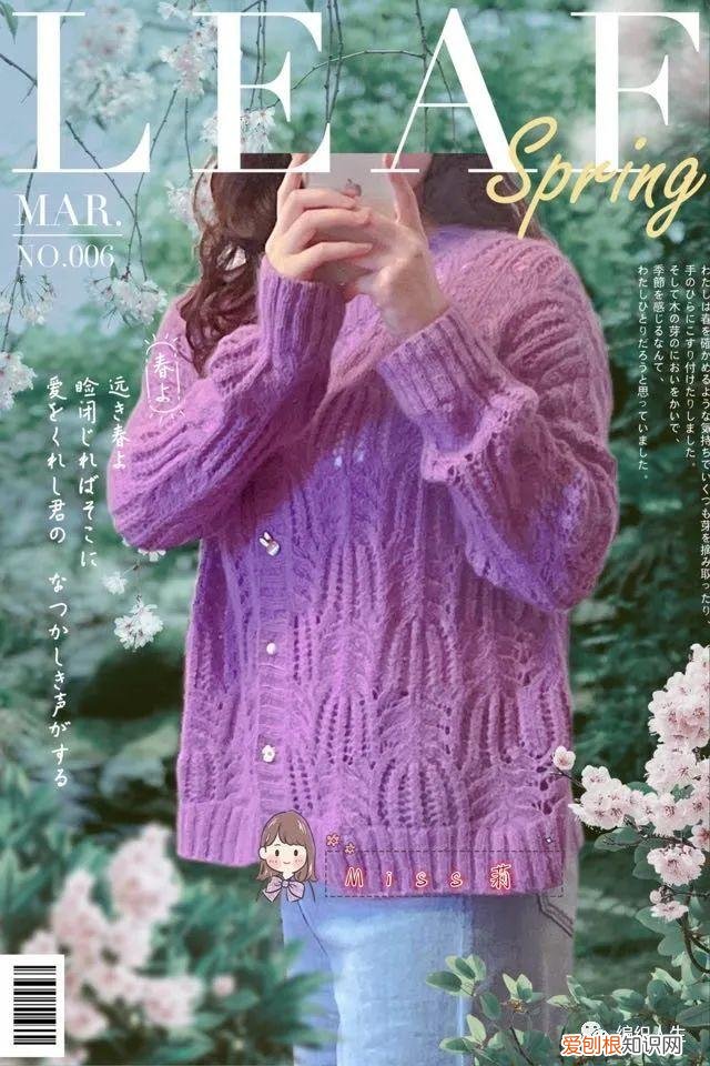 棕榈花毛衣编织图解