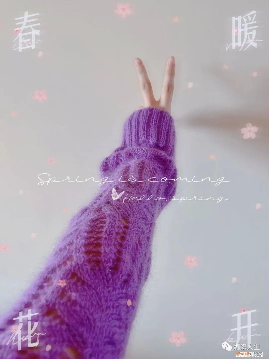 棕榈花毛衣编织图解