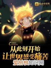 火影之乱世邪剑仙