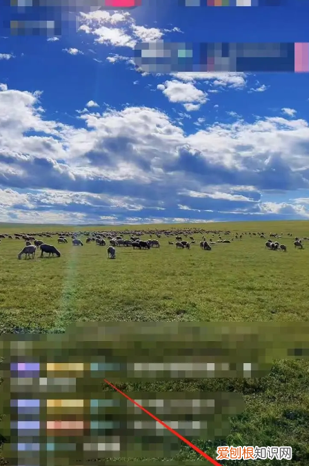 抖音直播怎么送礼物，抖音直播怎么开的教程