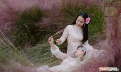 垫江粉黛乱子草在哪里，2021淄博粉黛乱子草花哪里有