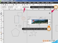 应该怎么用cdr中的裁剪工具