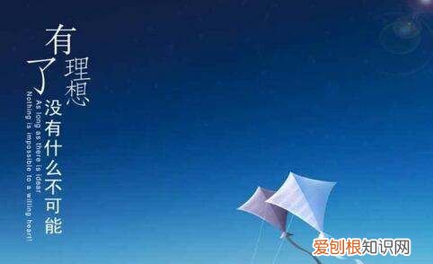 报负的意思，抱负是什么意思