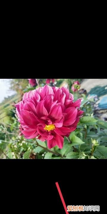 百度网盘下的文件怎么用，百度网盘的文件如何保存到手机