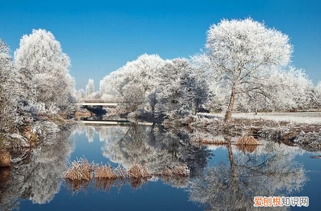 QQ炫舞手游如何晒搭配，qq炫舞手游有没有男明代的服装