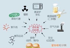 人体自由基是什么