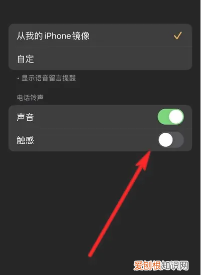 苹果手机怎么静音，怎么在苹果手机设置静音