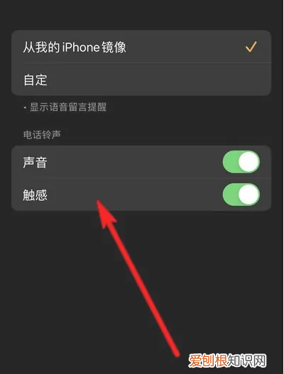 苹果手机怎么静音，怎么在苹果手机设置静音