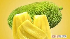 菠萝和菠萝蜜有啥区别，菠萝蜜和菠萝蜜核的区别