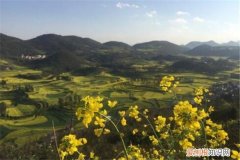 曲靖旅游团哪家好