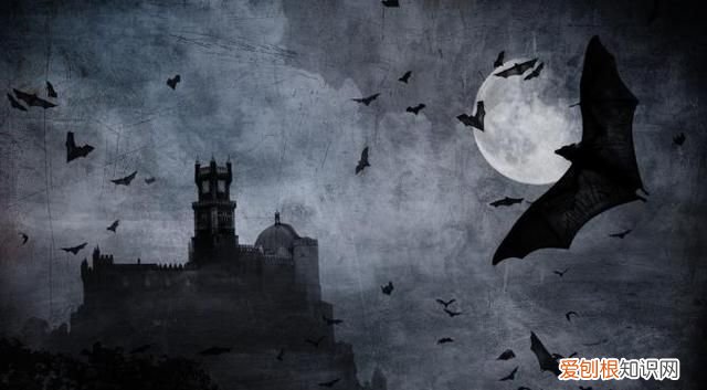 唯一会飞的哺乳动物是什么 唯一会飞的哺乳动物是什么?