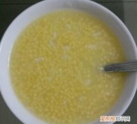 小猫咪吃什么好消化