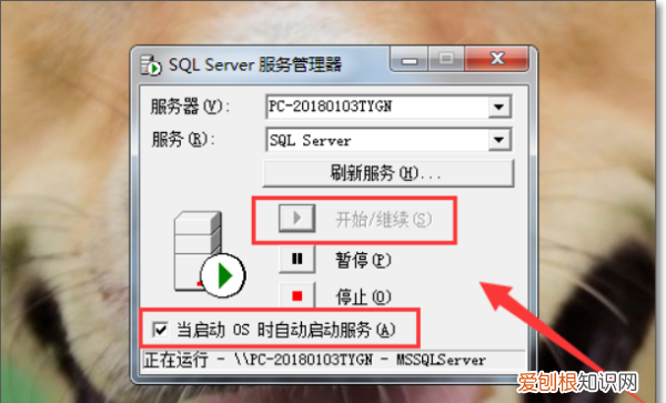 如何启动SQL Server