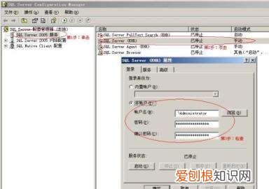 如何启动SQL Server