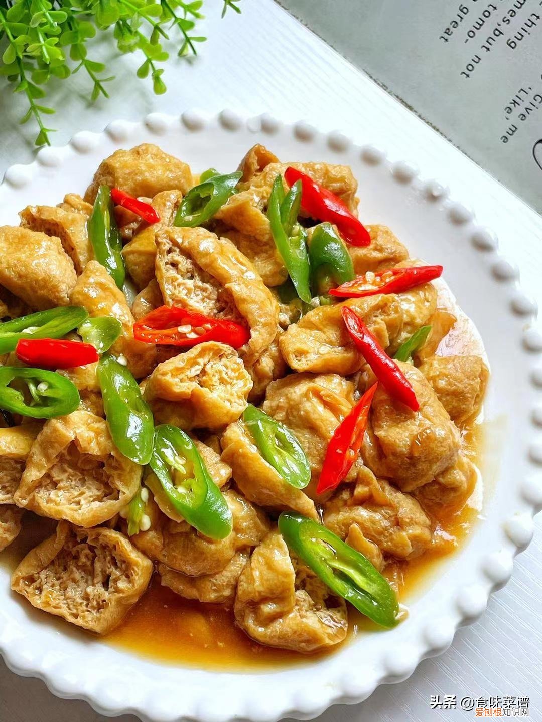 美食杰家常菜谱大全