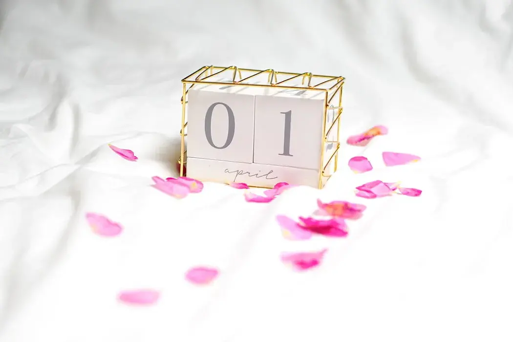 theotherday中文翻译