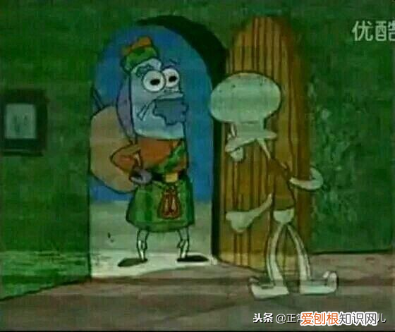 章鱼哥恐怖事件原视频