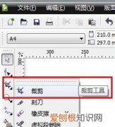 cdr裁剪工具应该如何才能用