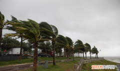 台风是如何形成的，台风生成于什么洋面